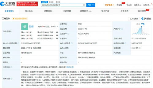 科大讯飞在南充成立全资子公司 聚焦科技服务，辐射区域经济